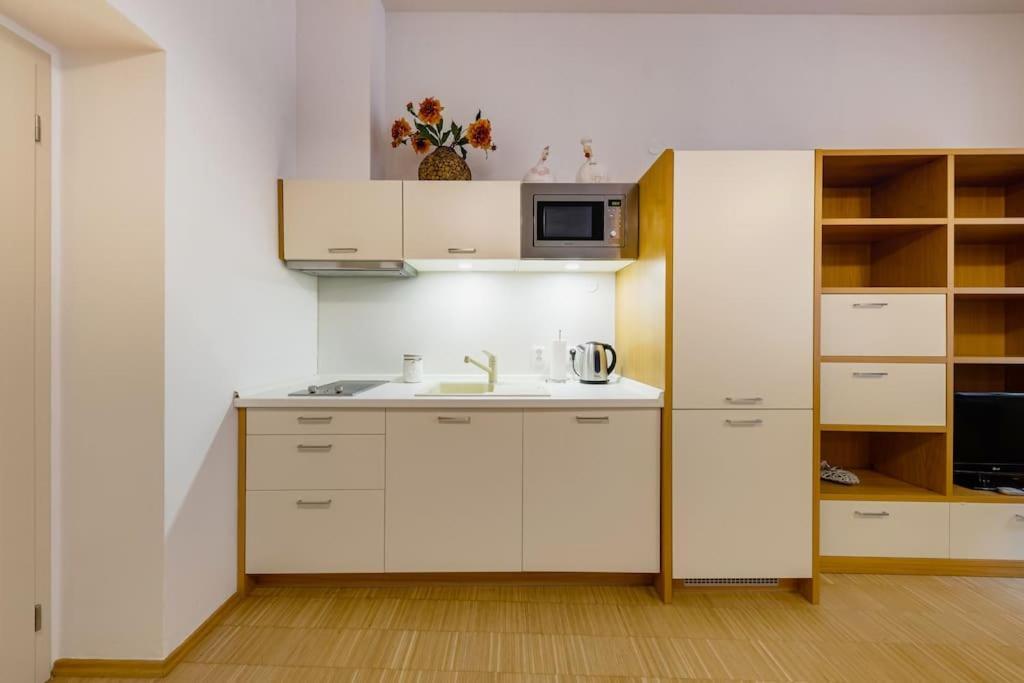 Deluxe Suite In Prime Location 布拉格 外观 照片
